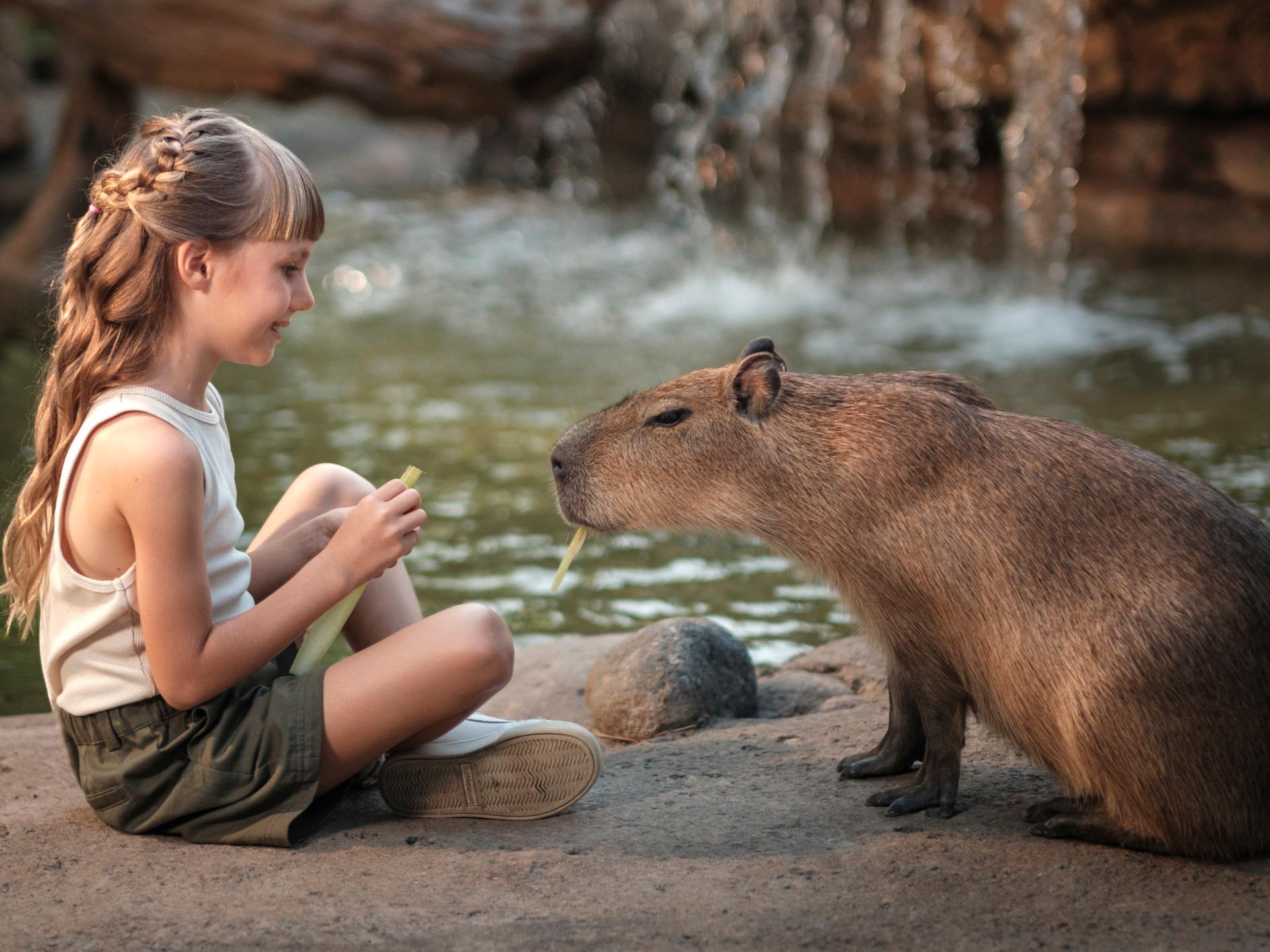 Capybara Vpn 3